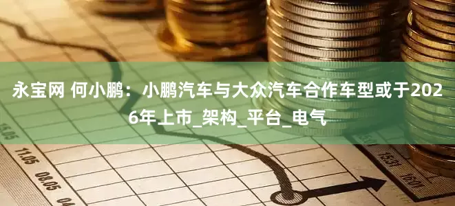 永宝网 何小鹏：小鹏汽车与大众汽车合作车型或于2026年上市_架构_平台_电气