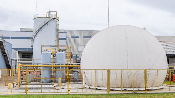 驰牛配资 数智化守护舌尖上的安全，老工厂有了新内核