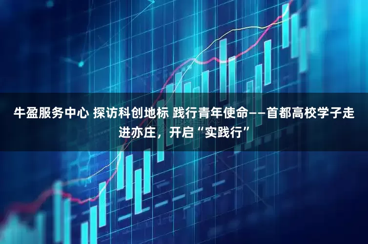 牛盈服务中心 探访科创地标 践行青年使命——首都高校学子走进亦庄，开启“实践行”